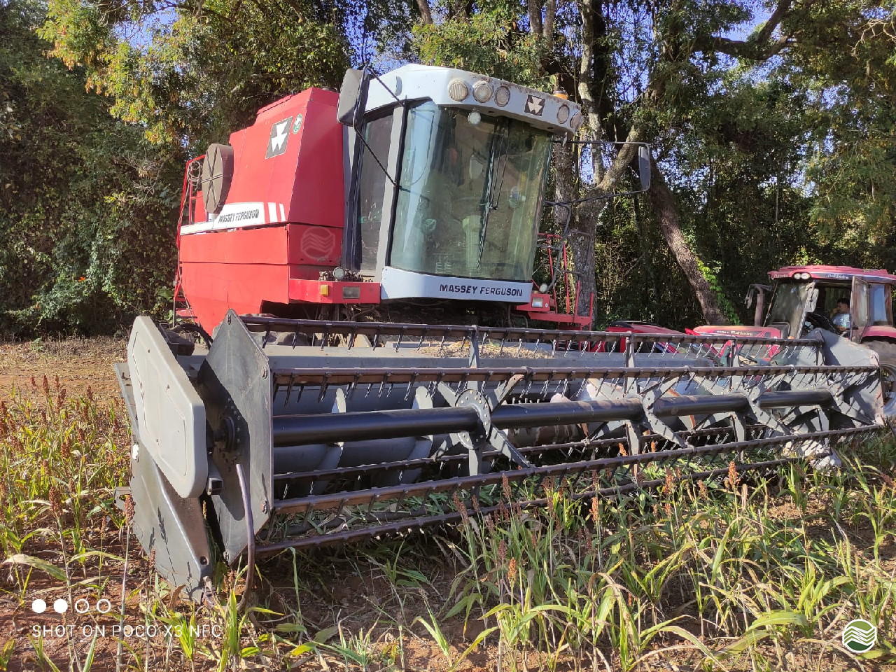 COLHEITADEIRA MASSEY FERGUSON MF 32 Marcão Tratores UBERABA MINAS GERAIS MG
